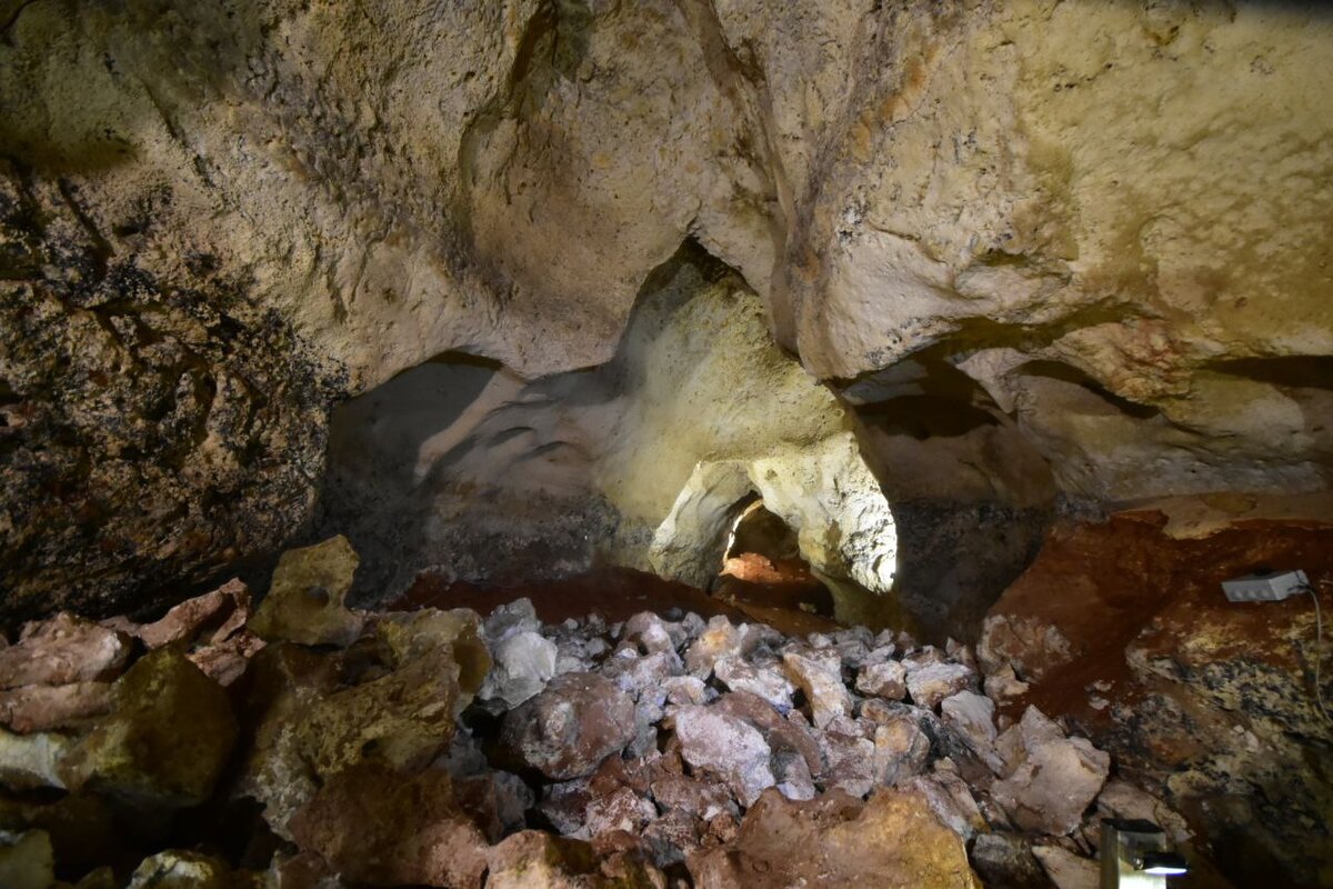 Фото: Гала Амарандо