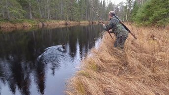 ОСТАВИЛ ЖЕРЛИЦЫ НА НОЧЬ И ОБАЛДЕЛ. ТРОФЕЙ НА ТАЁЖНОЙ РЕКЕ. ЩУКА ВЗБЕСИЛАСЬ. РЫБАЛКА НА СЕВЕРЕ. ПРОВЕРИЛ ЖЕРЛИЦУ И ОБАЛДЕЛ.