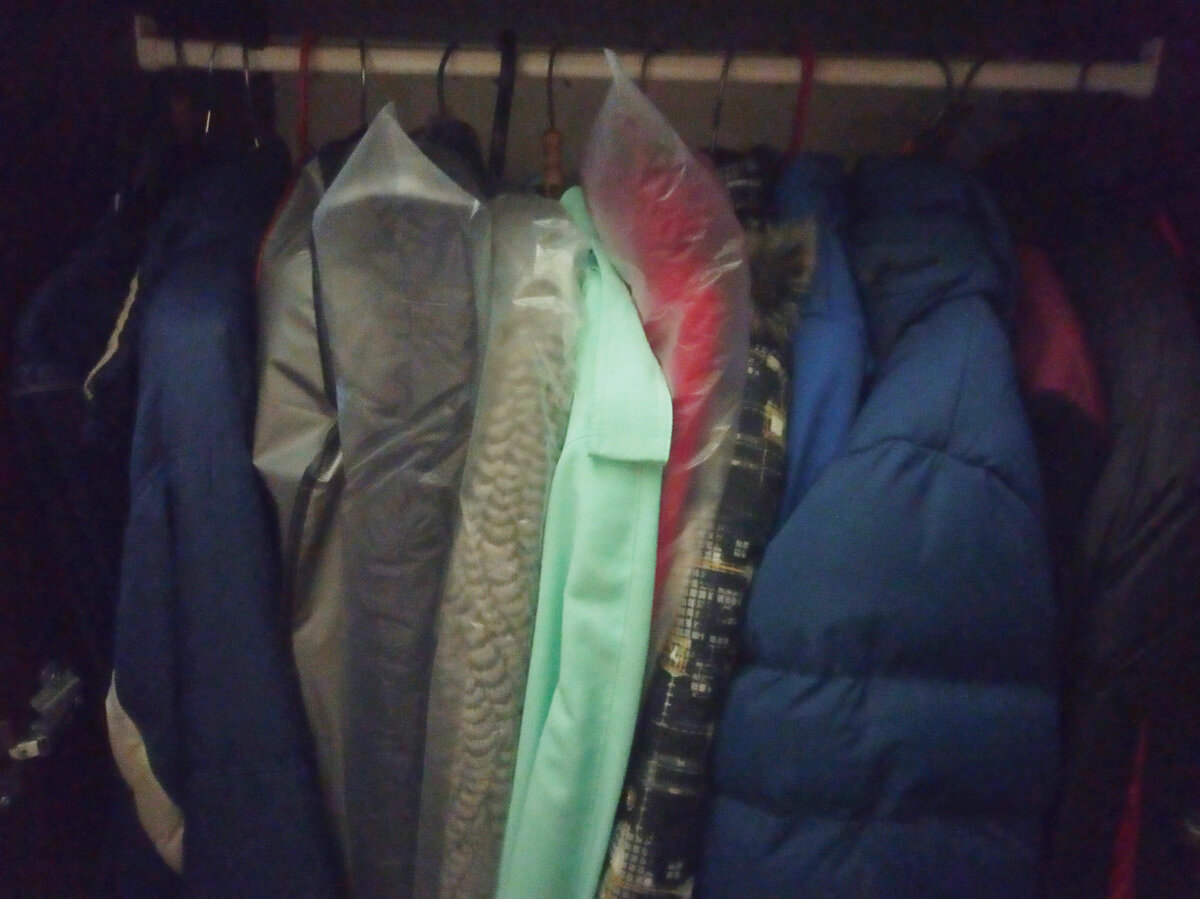 Фото автора. Систематизация, чехлы и аккуратность.