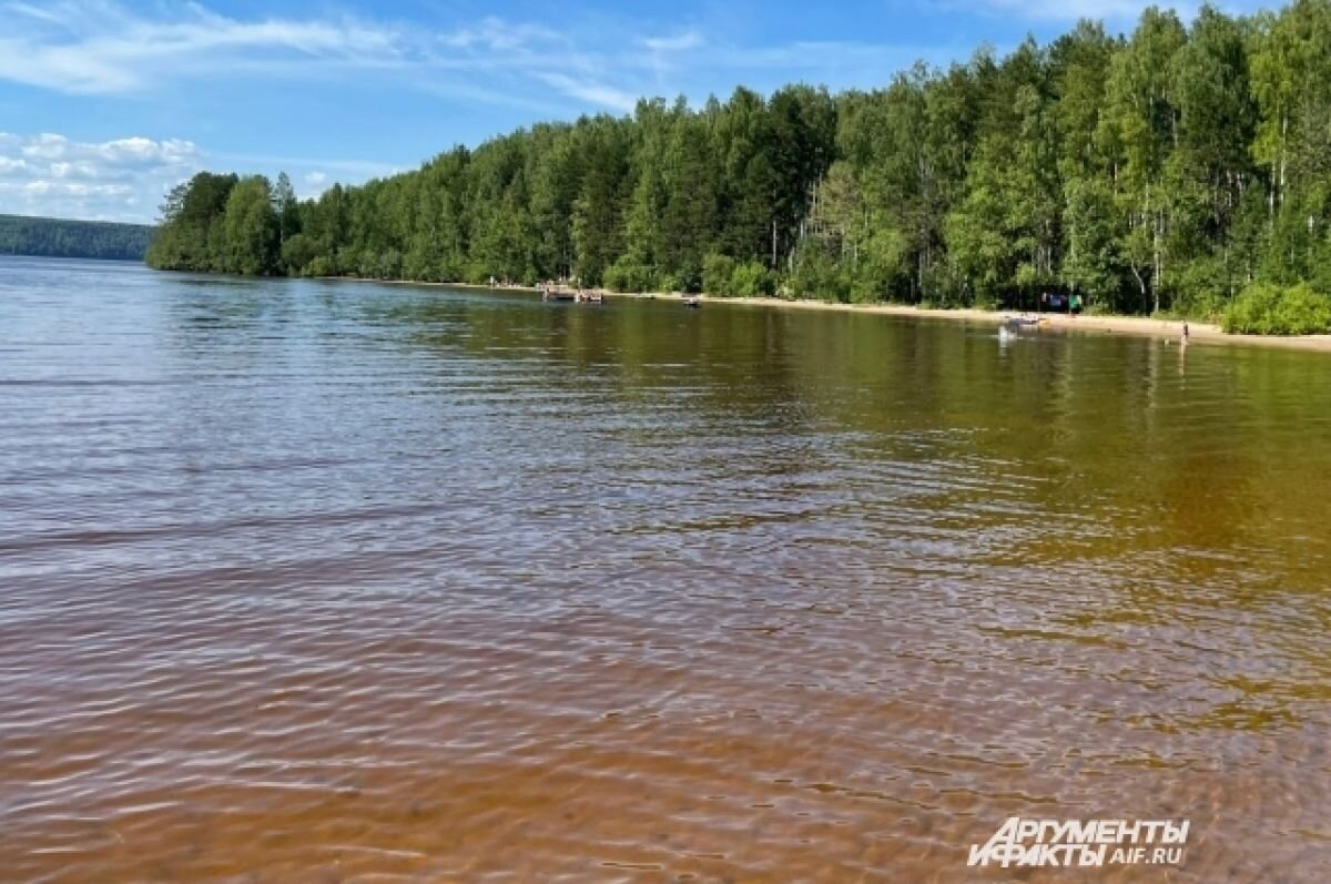   В Прикамье 9-летний мальчик утонул во время отдыха двух семей на берегу