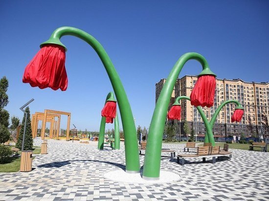     Фото: администрация Ставрополя