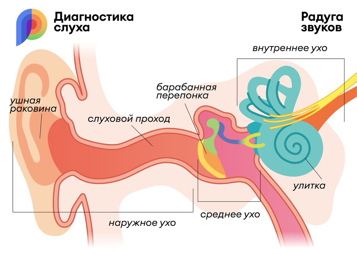 Тубоотит, евстахеит, или 