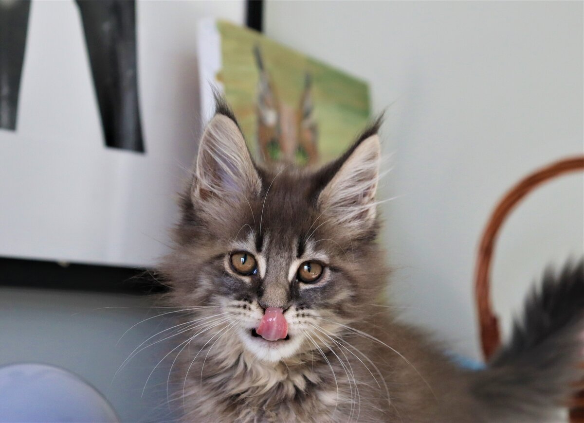 Фото из личного архива.