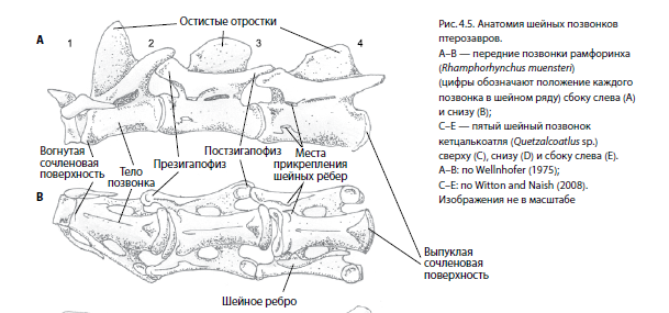 Такие штуки переводить непросто, но интересно