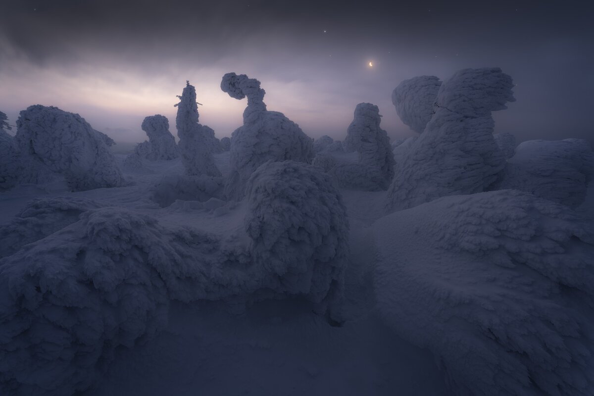 � Koki Dote (������) ����������.������� ������ The Snow & Ice Award | ILPOTY�2022