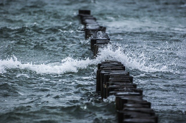 фото взято с бесплатного фотостока Pixabay