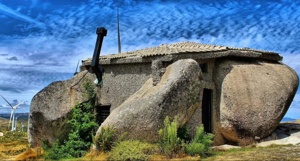 Фото из открытого источника