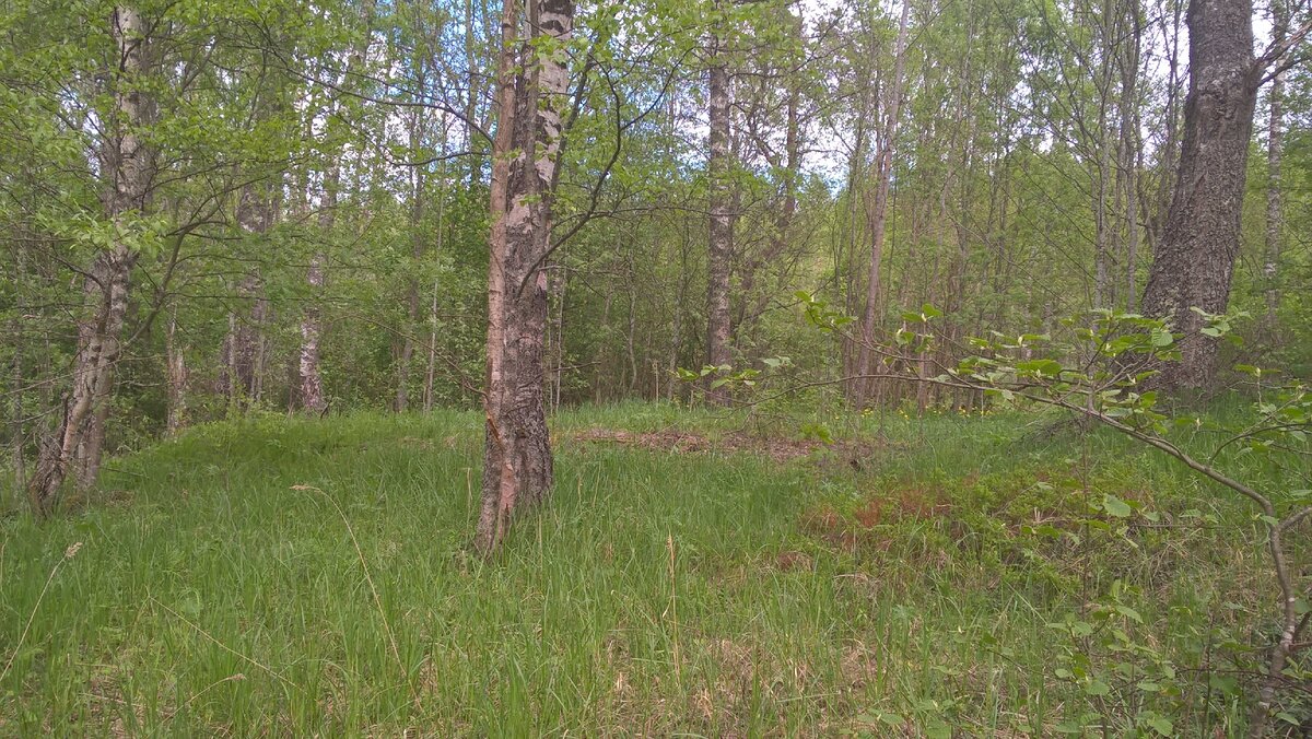  Место, где по преданиям стояла церковь 