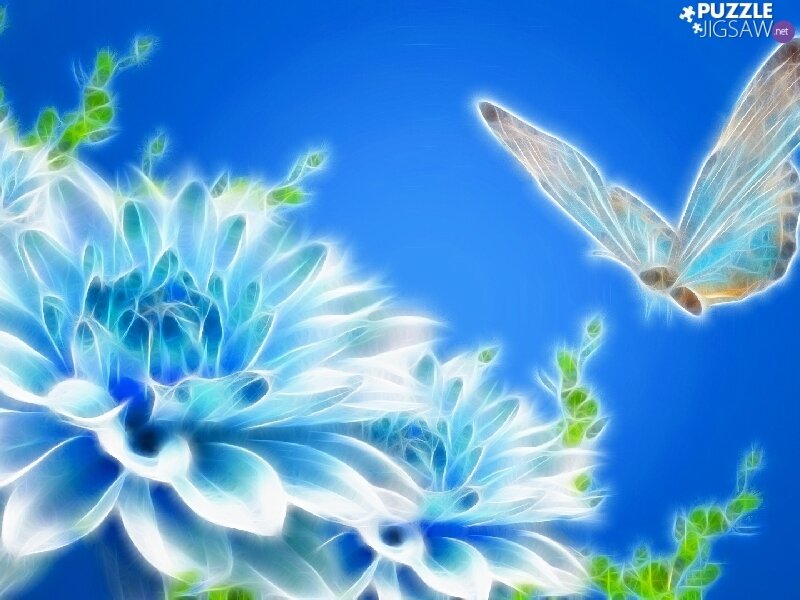 Картинка из свободного доступа в Интернете.