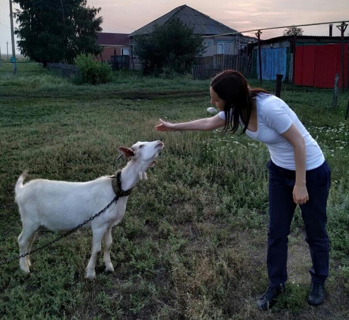 Купить козу в воронежской. Село Вихляевка Воронежской области. Коза Ярославская область. Алтайская коза. Село коза Ярославская область.