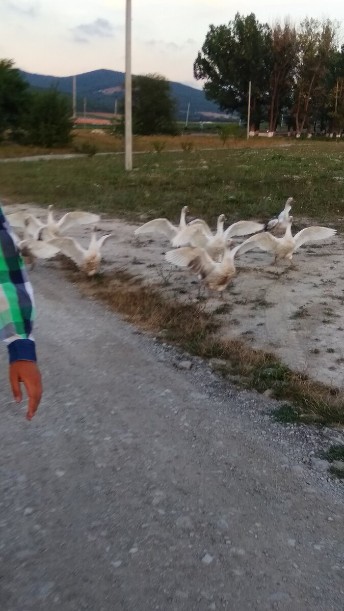 Что-то им не понравилось. Пора уносить ноги.)))