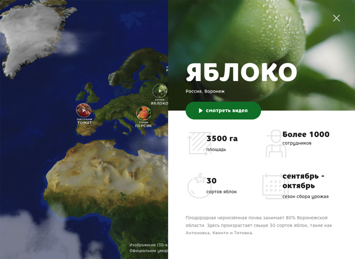 Шаг 2: смотрим, где росли яблочки и как они превращались в сок