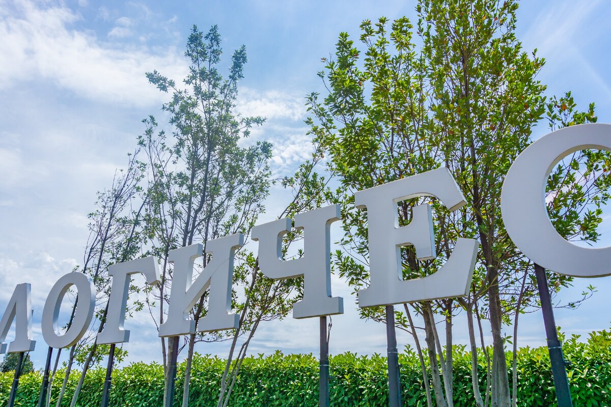 авторское фото