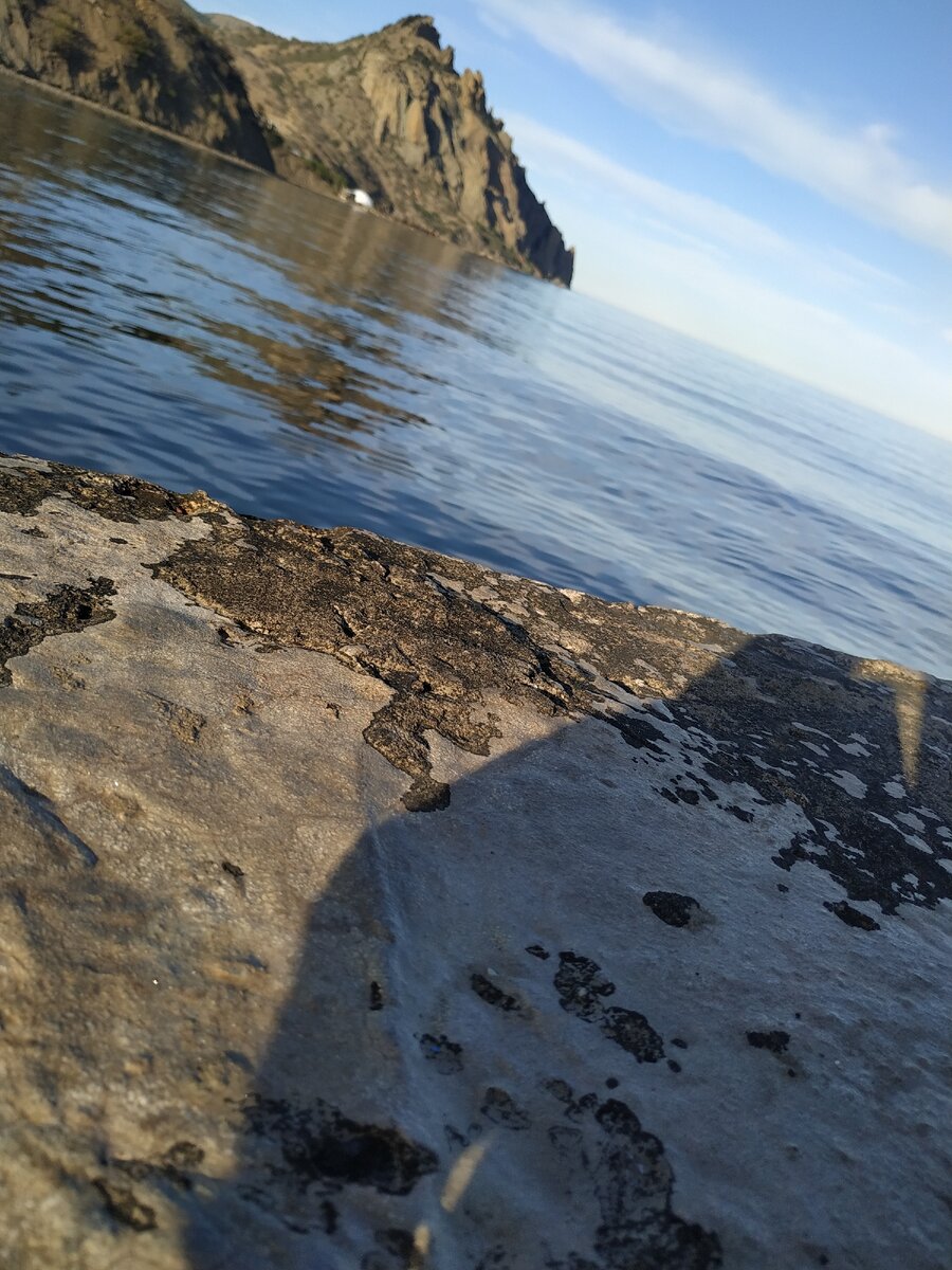 Фото сделано автором статьи