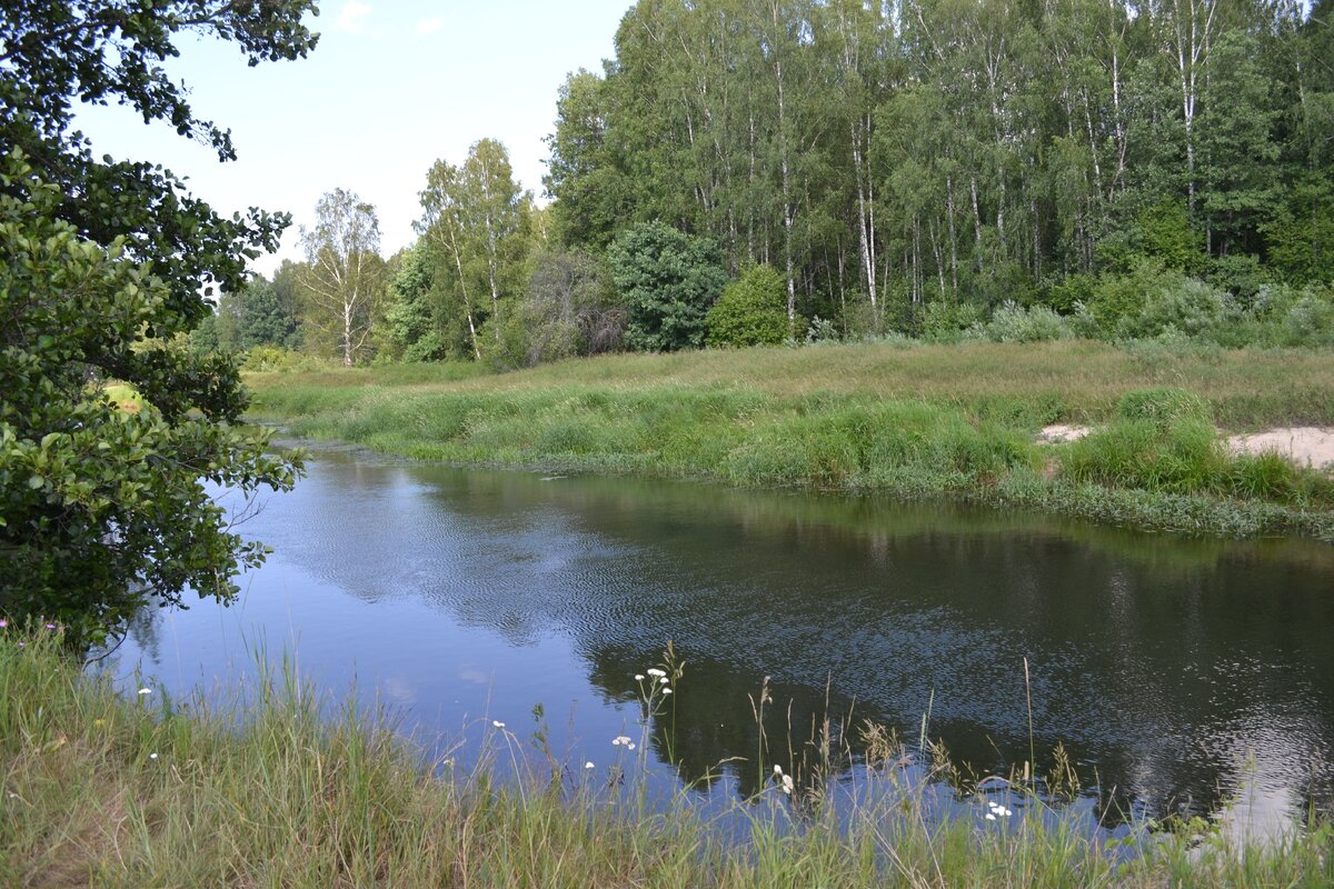 Лухтоновская Прямица.