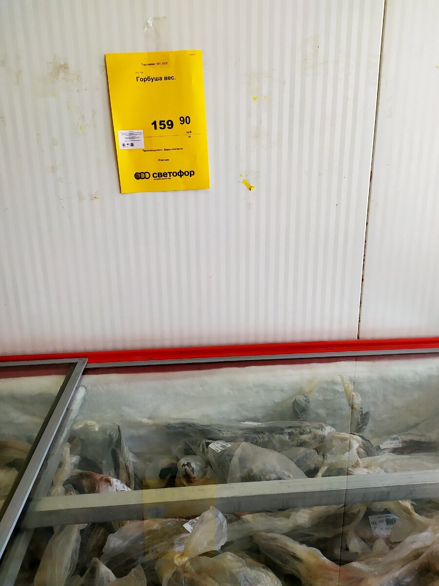 Ассортимент рыбы в магазине светофор. Рыба в светофоре свежемороженая. Рыба в магазине светофор. Мороженая рыба в светофоре. Свежая рыба в светофоре.