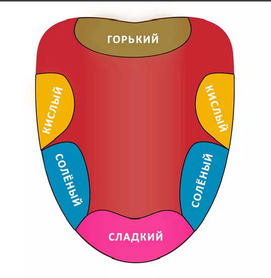 Фото с сервера Яндекс.Картинки