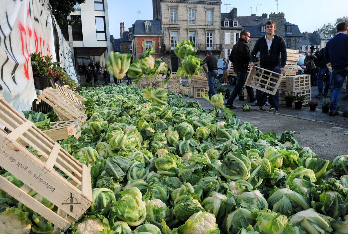 Брюссель, 2011 год. Забастовка Союза Европейский Фермеров // Le Monde.