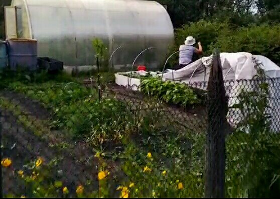 Я, собсно и всякие там грядки.