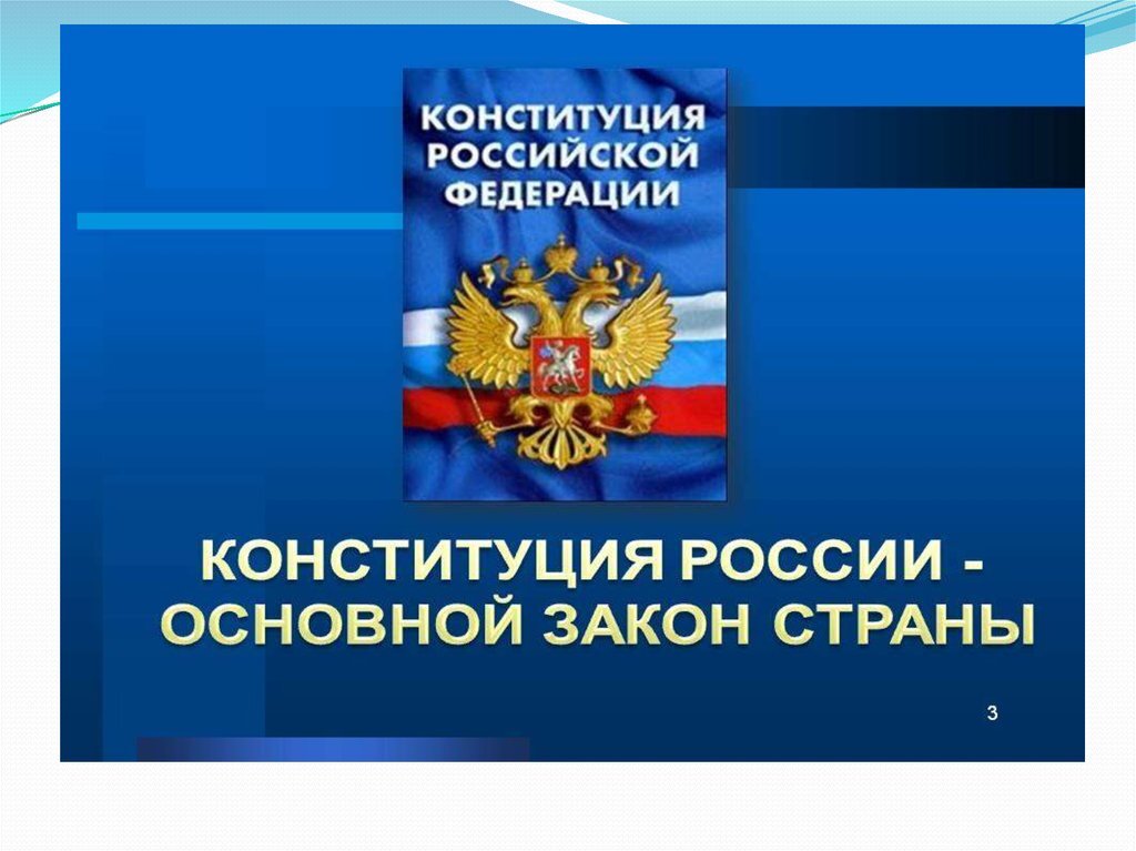 Действующую Конституцию РФ читали?