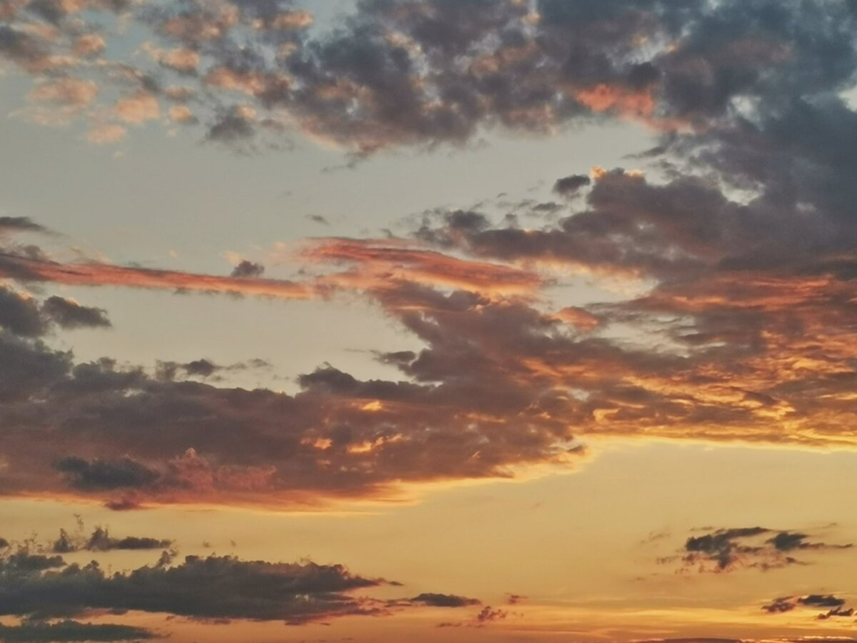 Такое явление теперь мы сможем наблюдать только в следующем году и то не факт что миновав такое будет, ведь это явление очень редкое в природе, будем надеяться на следующий год.