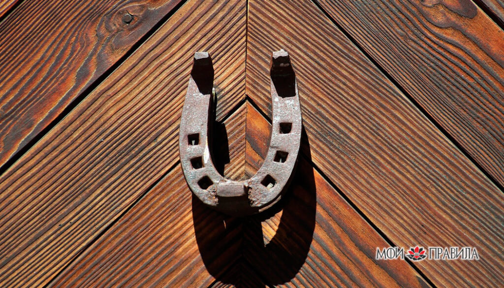 Изображение pasja1000 с сайта Pixabay