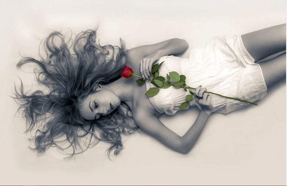 Из открытого источника pixabay.com, все права принадлежат их правообладателям.