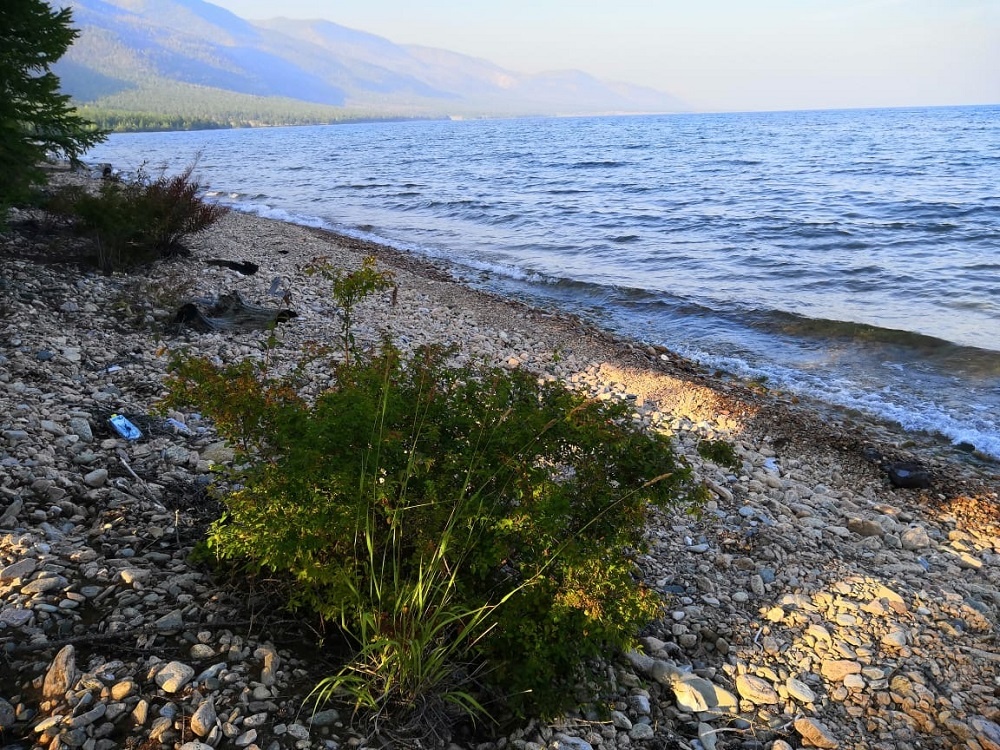 Фото @budishkinaelvira