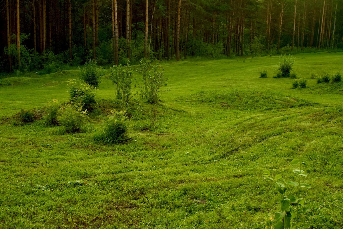 Эко-парк Гремячая Грива