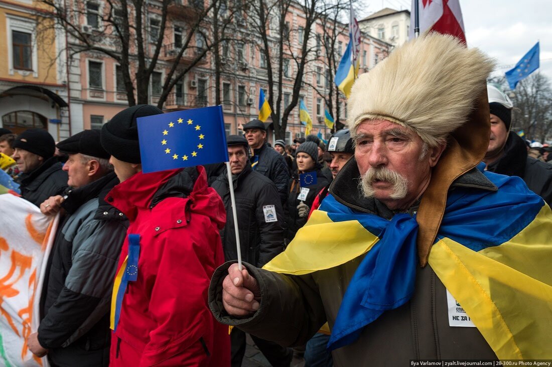 фото из свободных источников