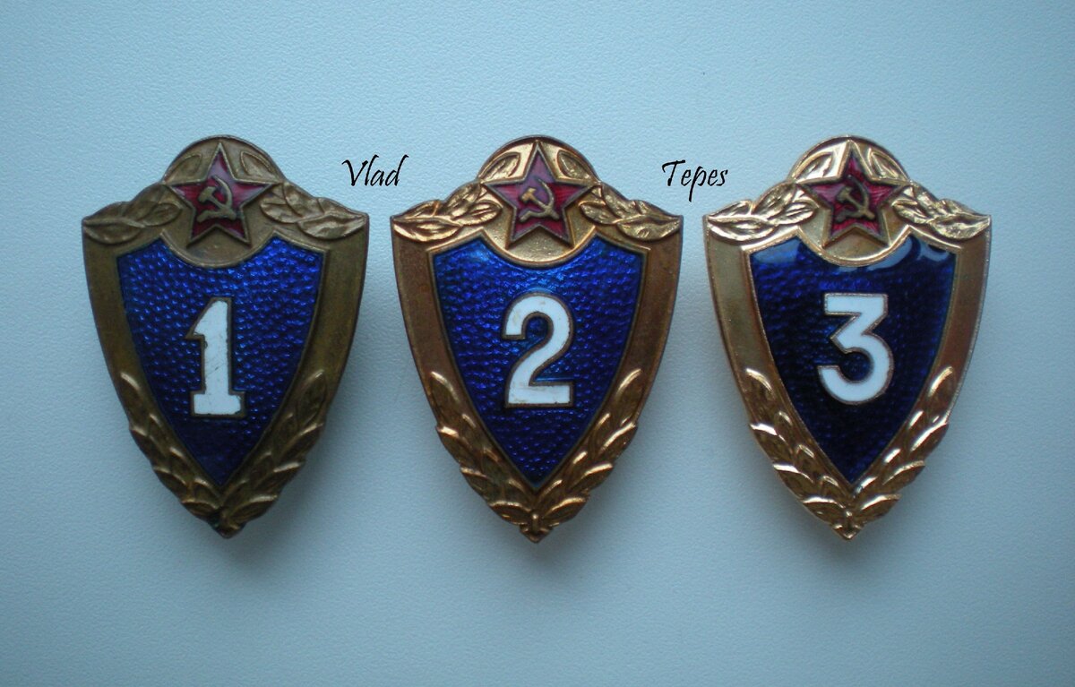 Значок классности в армии для контрактников нового образца