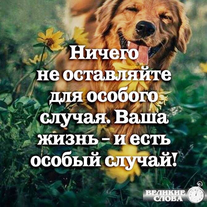 Иллюстрация из источника: https://ok.ru/vel.slov/topic/71293474832621 