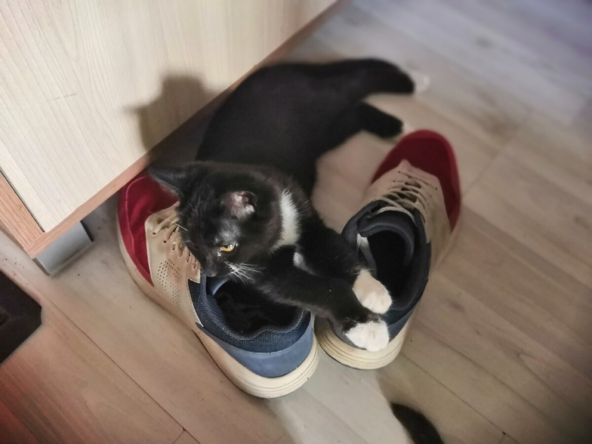 Это ещё и отличная лежанка. Мягкая.