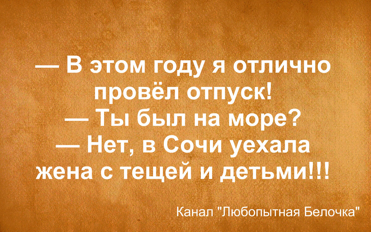 Товарищи, чем ближе отпуск, тем тяжелее работать. Юморная подборка |  Любопытная Белочка | Дзен