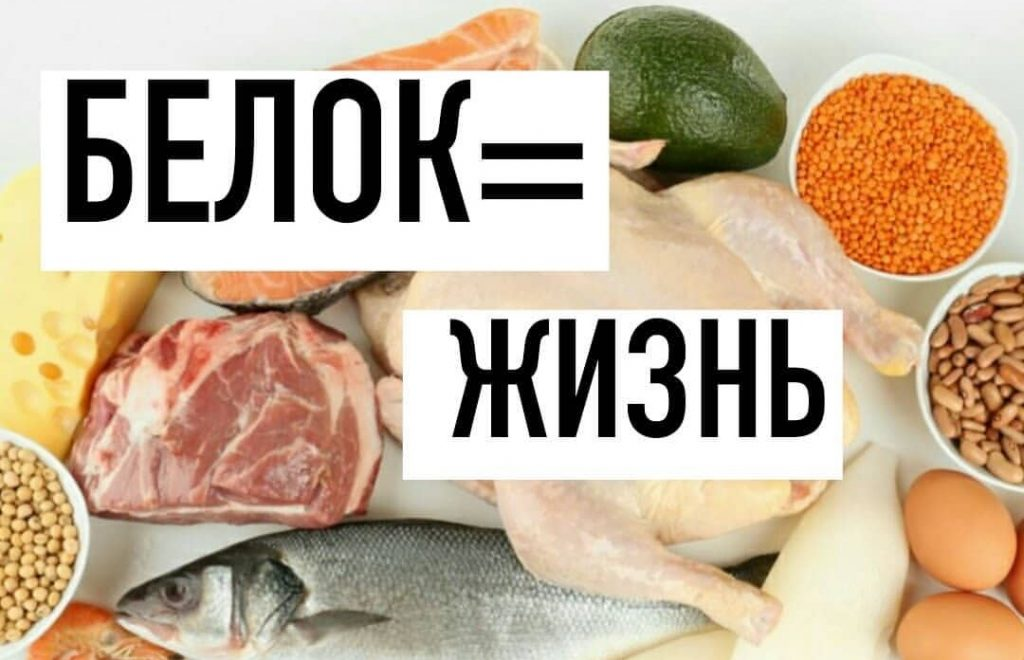 Как выглядят люди белки