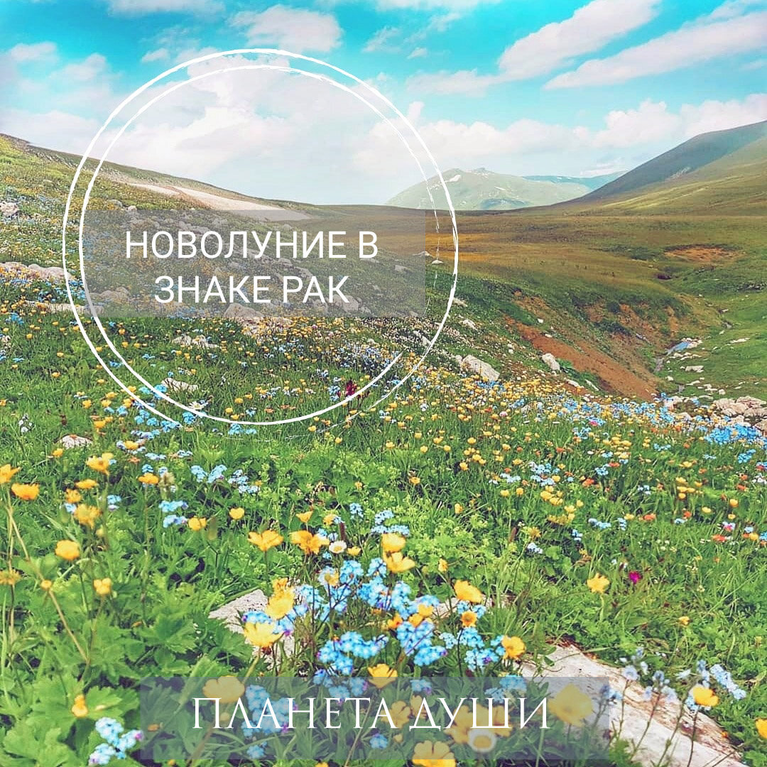 Новолуние в Раке