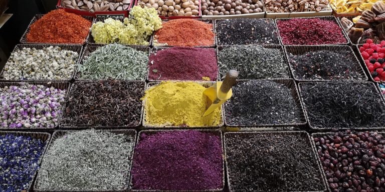 Фото: Асиф Масимов 