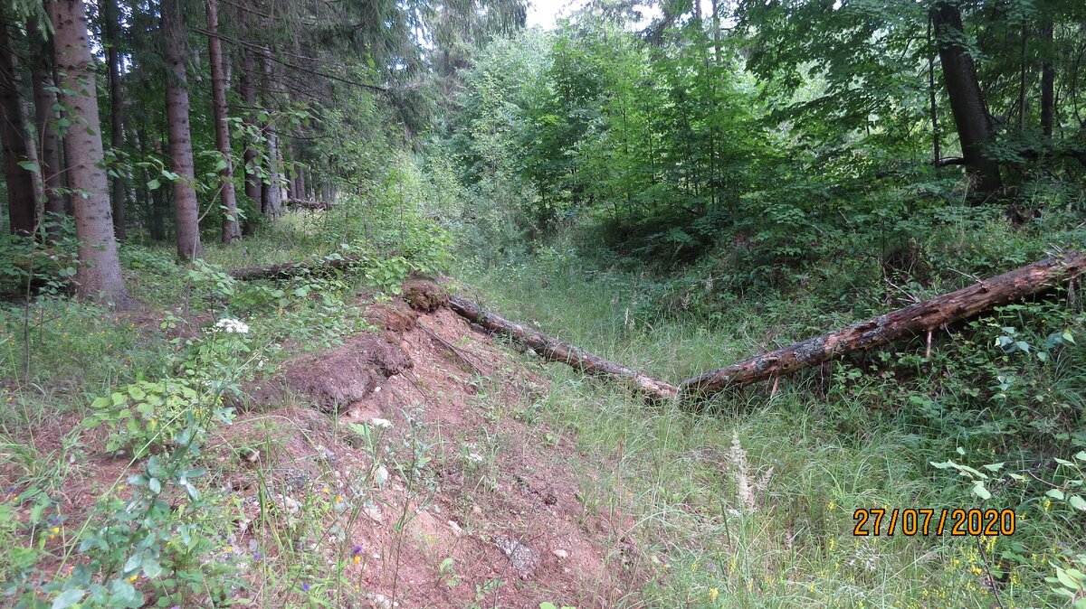 Рана затягивается, но прошло уже  6 лет, как ее сделали.