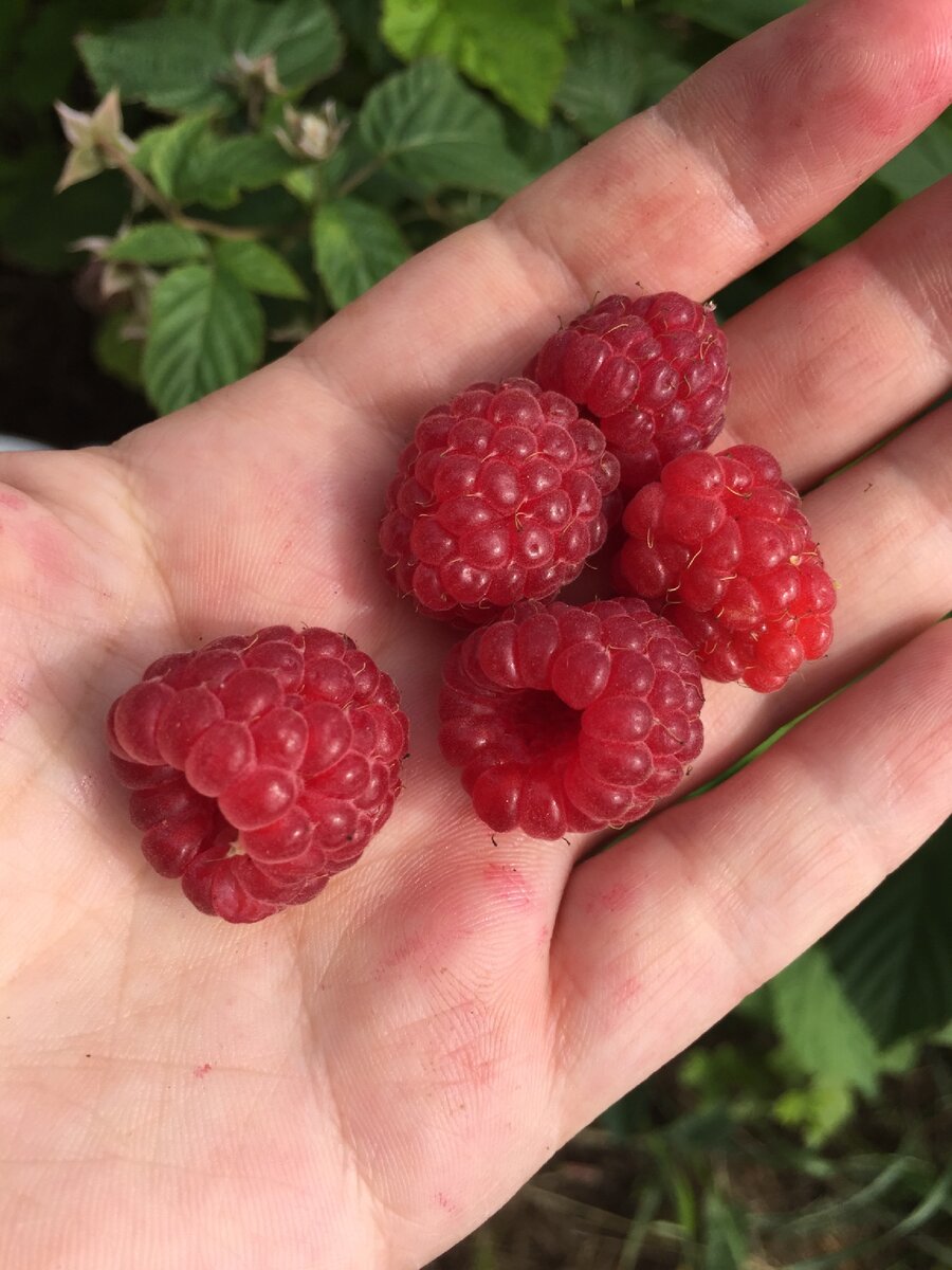 Личное фото