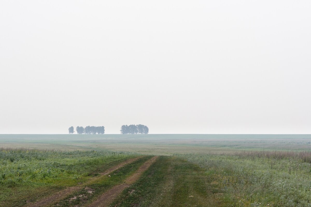 Озеро Чаны. Озеро Чаны Новосибирская область. Западная Сибирь озеро Чаны. Озеро Чаны вид сверху.