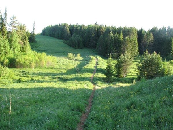 Местный пейзаж. По этой тропинке дети ходят в школу за несколько километров из Абрамёнок, починка Львятского и д. Крутой лог в д. Мысы.