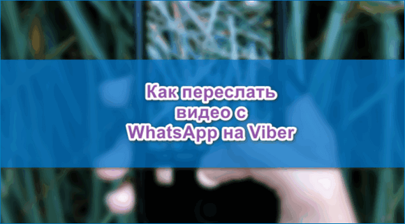 Как сделать рассылку в Вайбер (Viber)? Отвечаем в блоге.