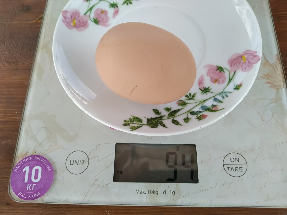 Вот такие крупные яйца несут мои курочки))