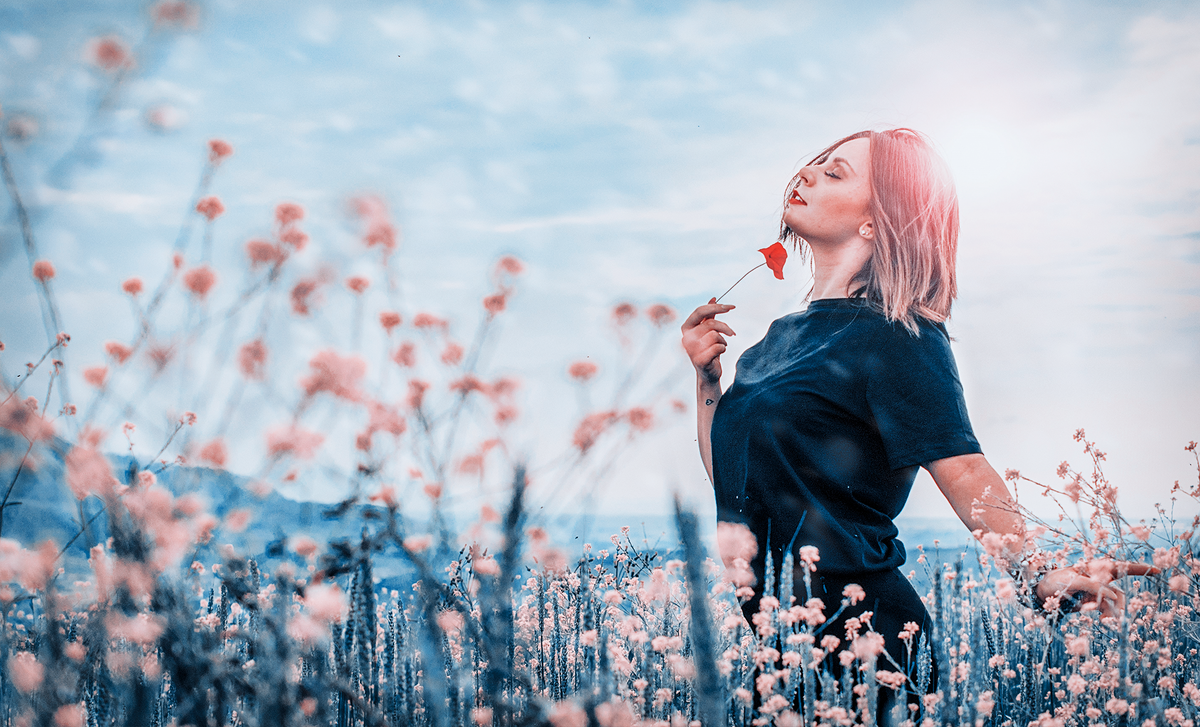 Источник изображения: Unsplash, фотограф Erriko Boccia 