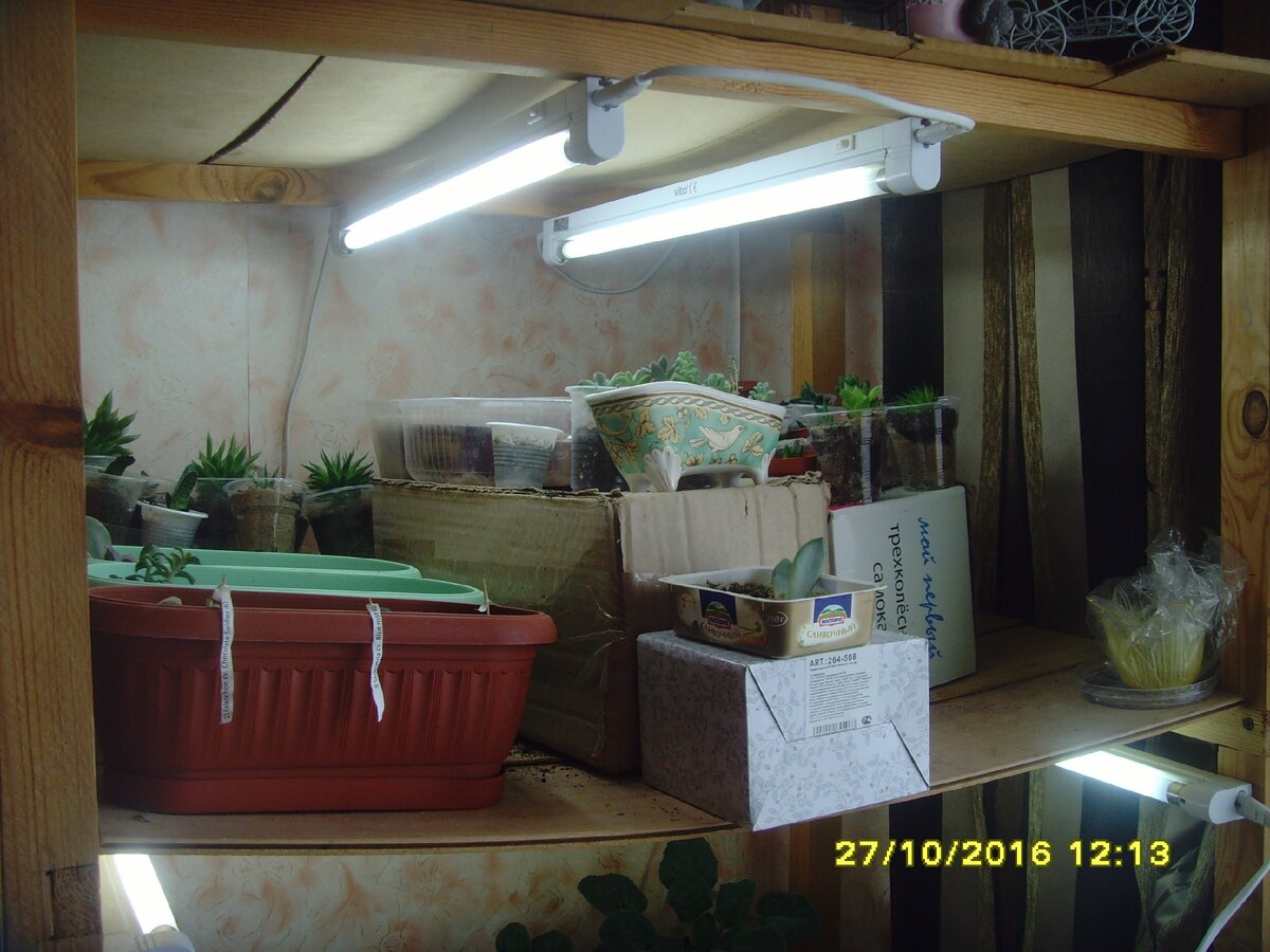 Так скромненько было на этажерке в 2016-м...))