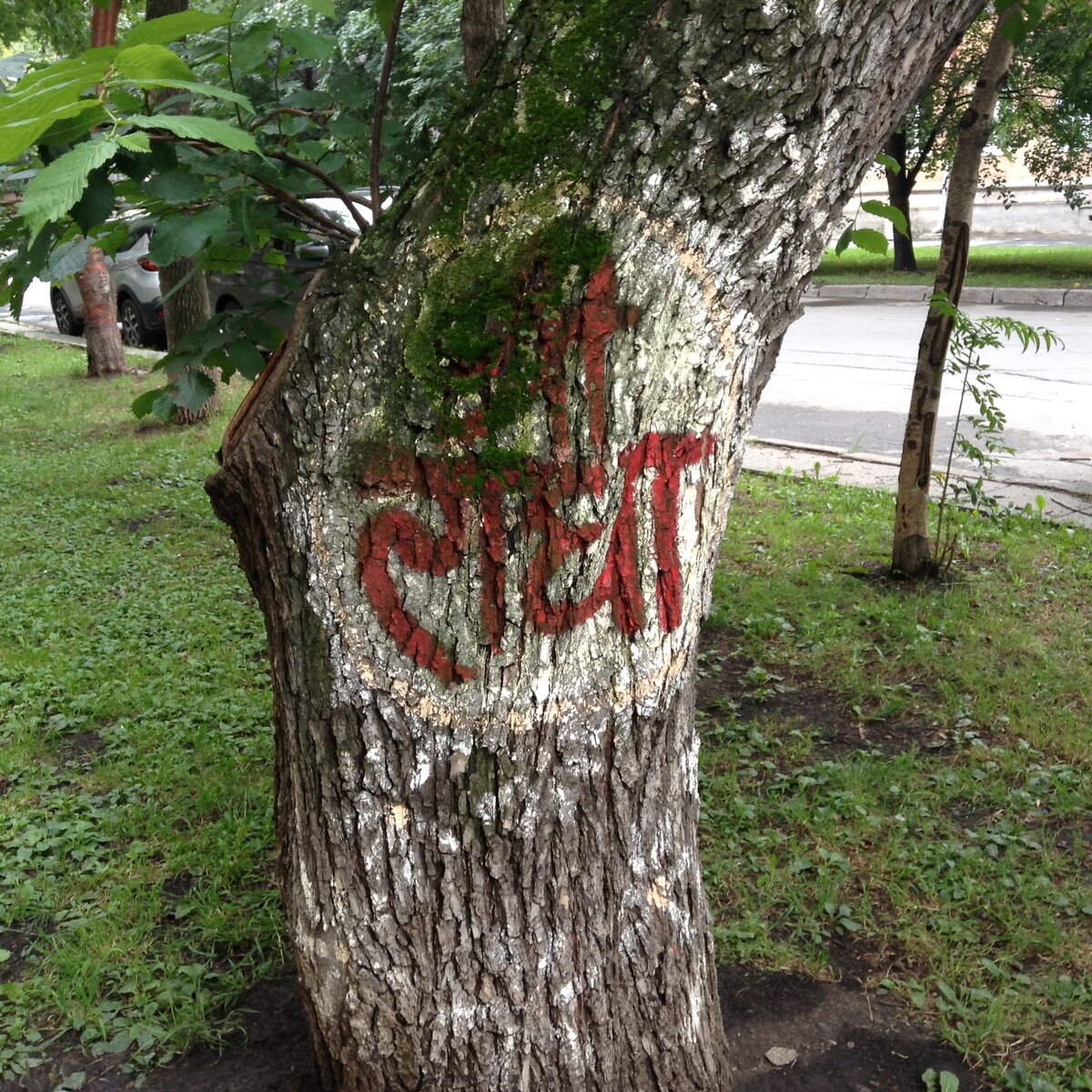 श्री राधा