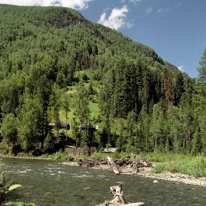 Фото В. Бодряшкина из открытых источников
