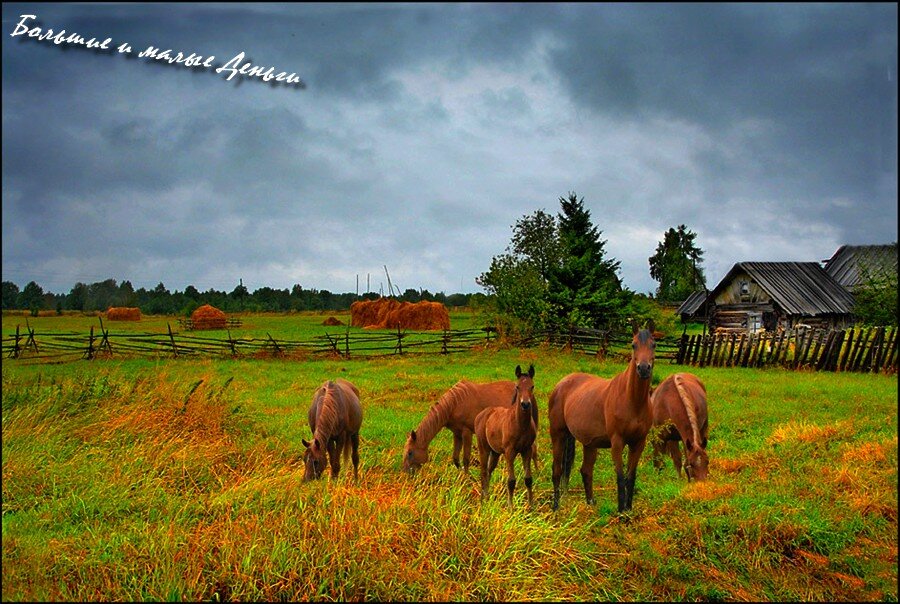 Простая деревня.