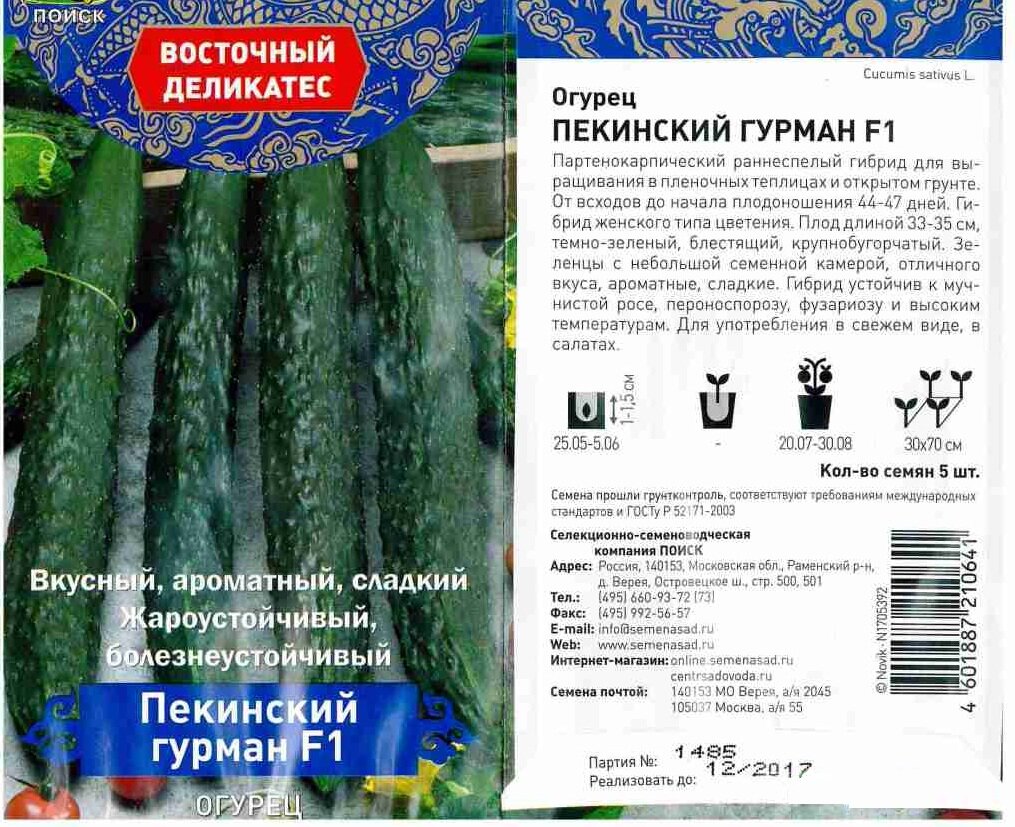 семена огурцов для открытого грунта самоопыляемые. огурцы для теплицы сорта лучшие самоопыляемые. огурцы в грунт в сибири. семена огурец нежинский седек. семена огурцов семена алтая на к.