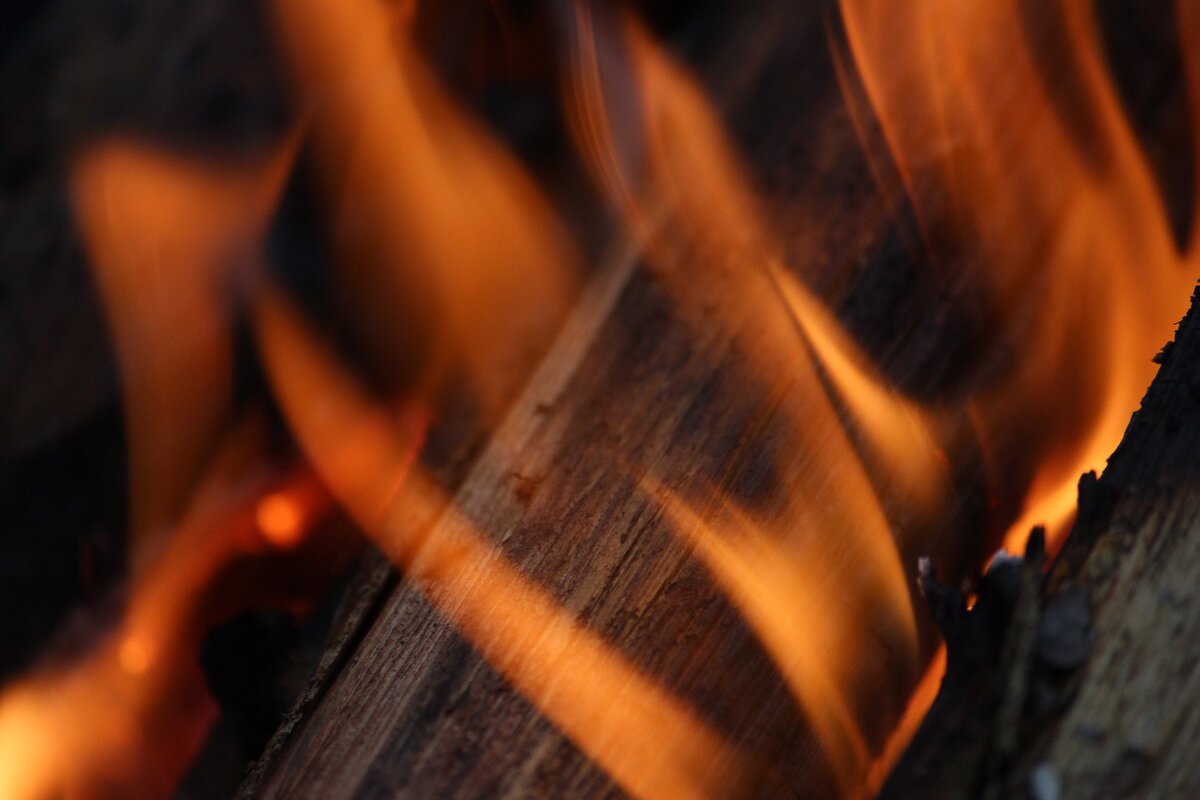 Фото с сайта pixabay.com